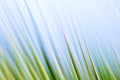 Static and Motion, 2009-10-10-0184