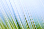 Static and Motion, 2009-10-10-0184