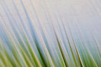 Static and Motion, 2009-10-10-0184