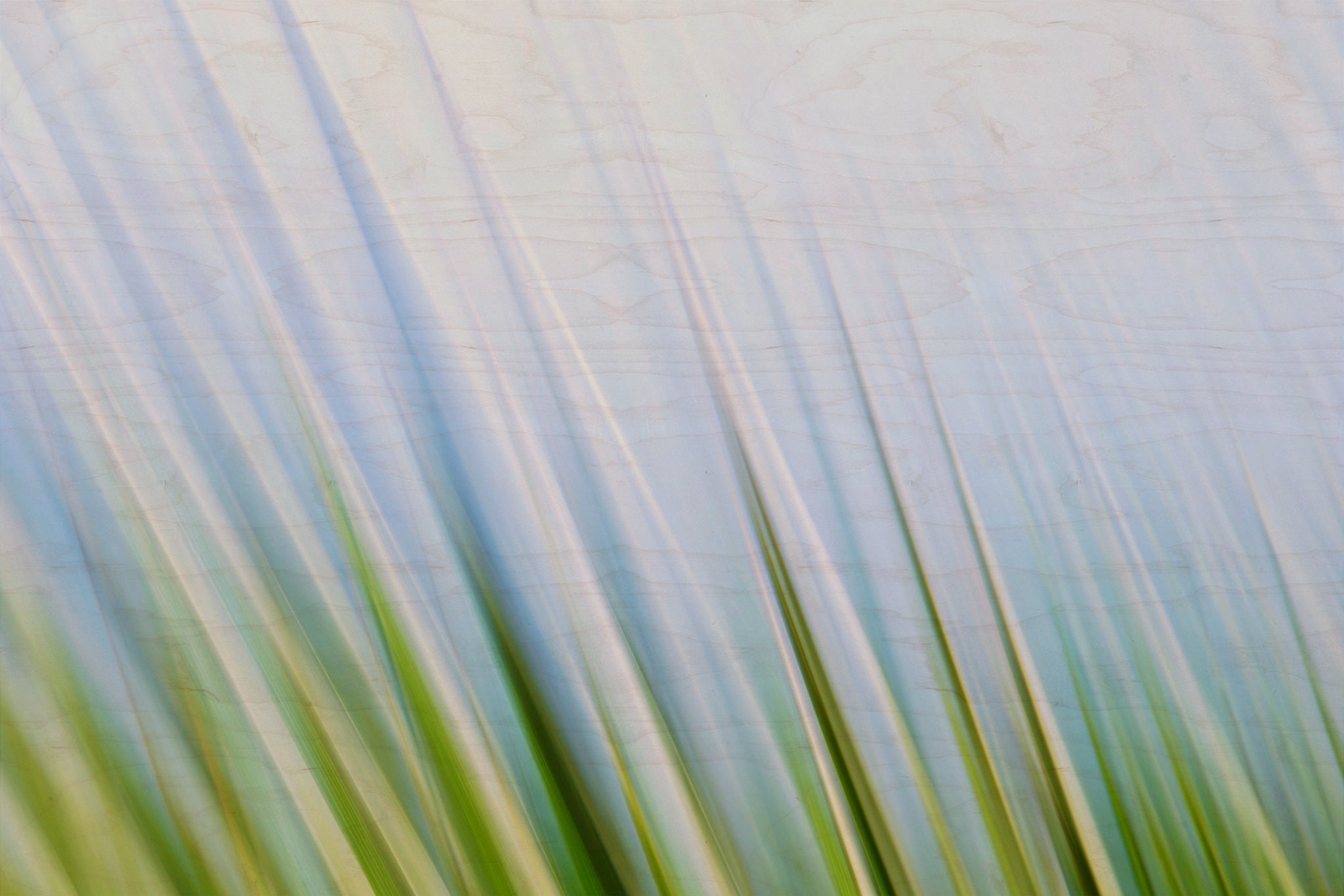 Static and Motion, 2009-10-10-0184
