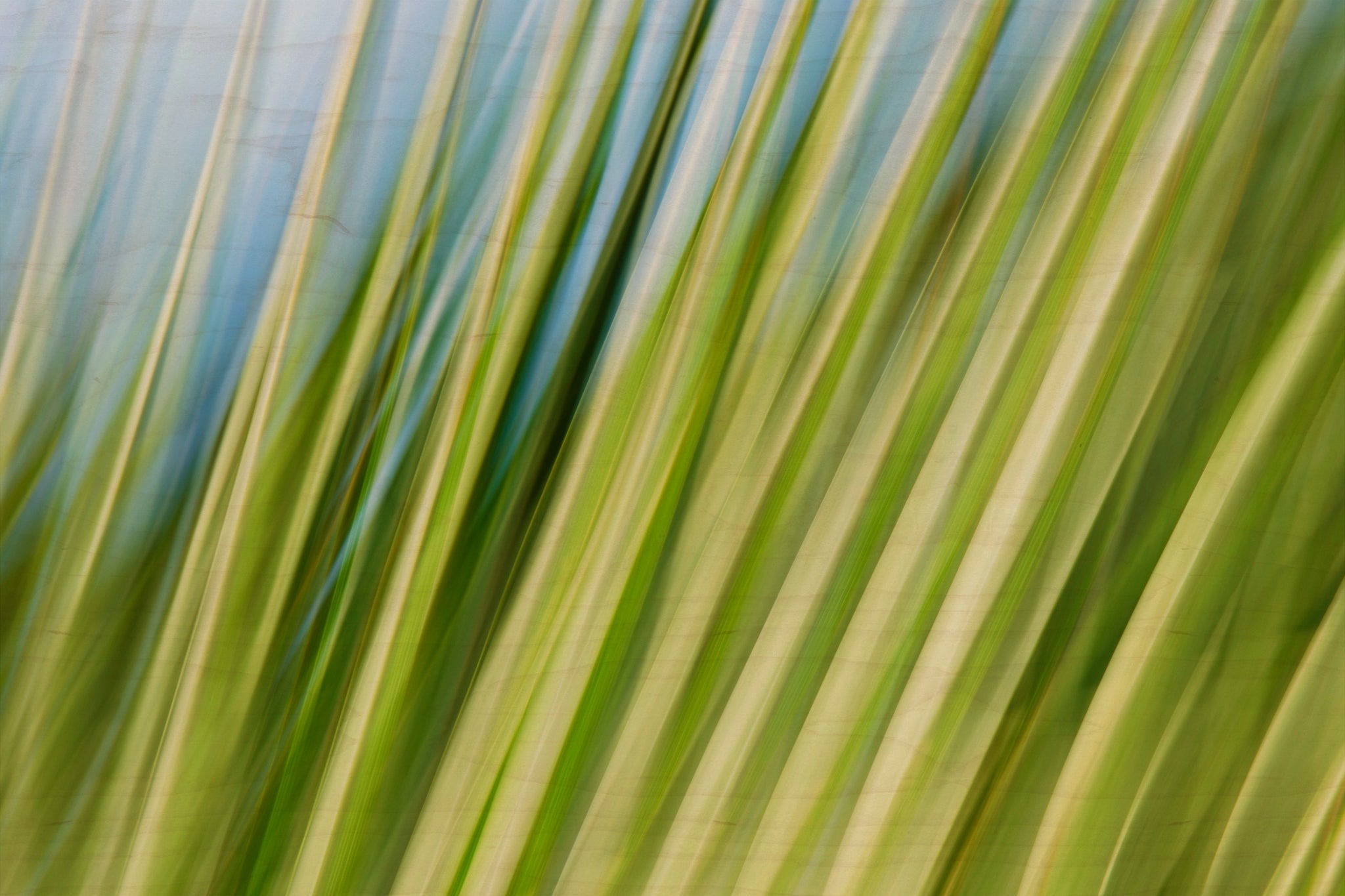 Static and Motion, 2009-10-10-0185