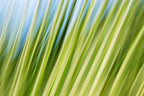Static and Motion, 2009-10-10-0185