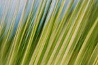 Static and Motion, 2009-10-10-0185