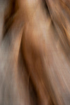 Static and Motion, 2009-10-10-0217