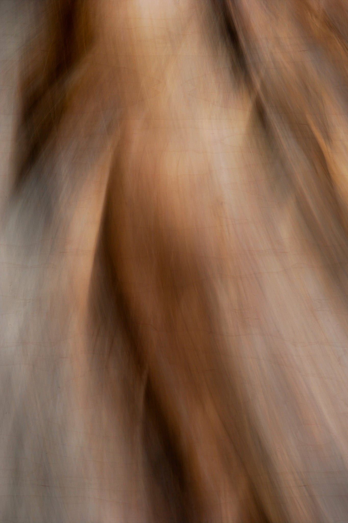Static and Motion, 2009-10-10-0217