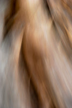 Static and Motion, 2009-10-10-0217