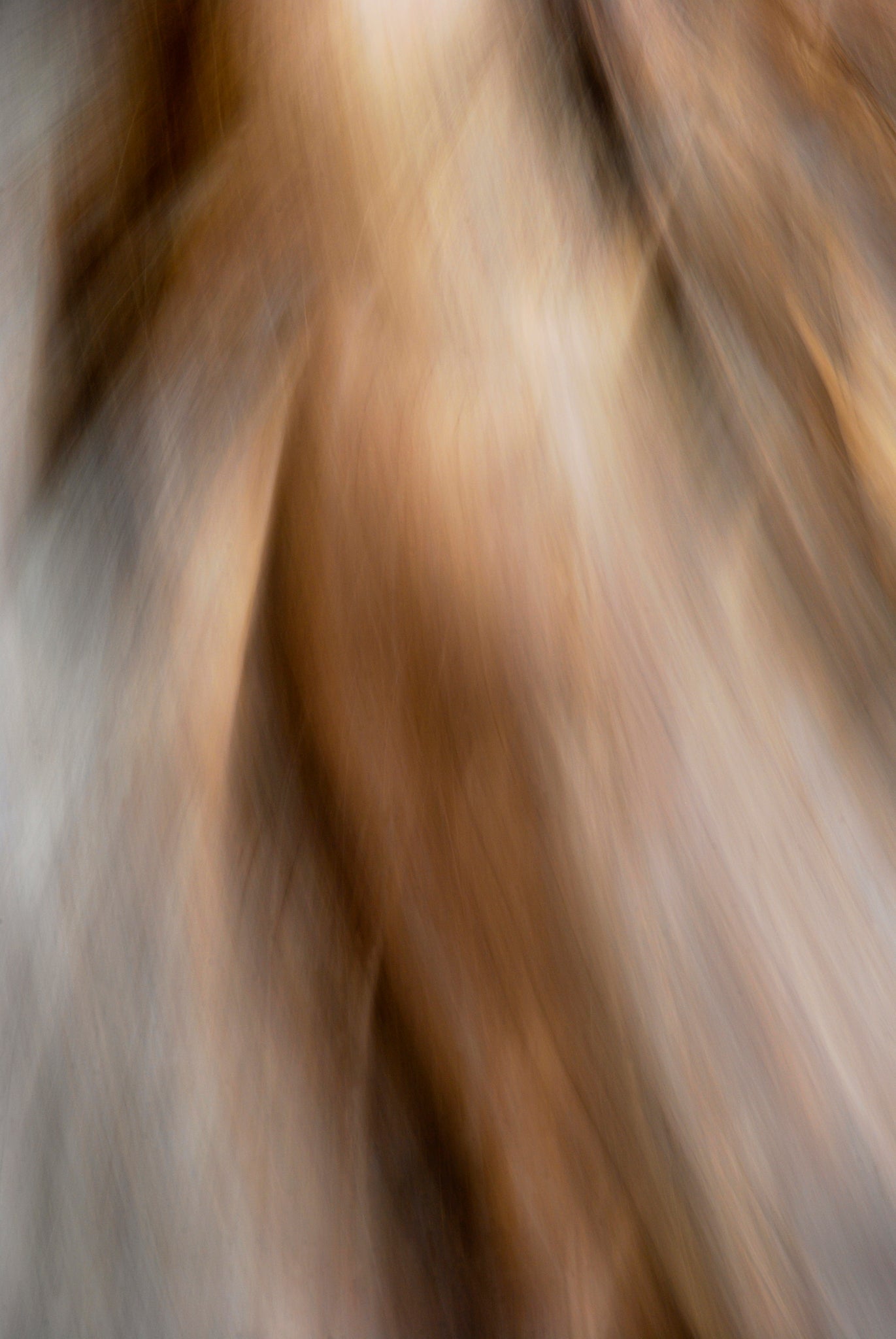 Static and Motion, 2009-10-10-0217