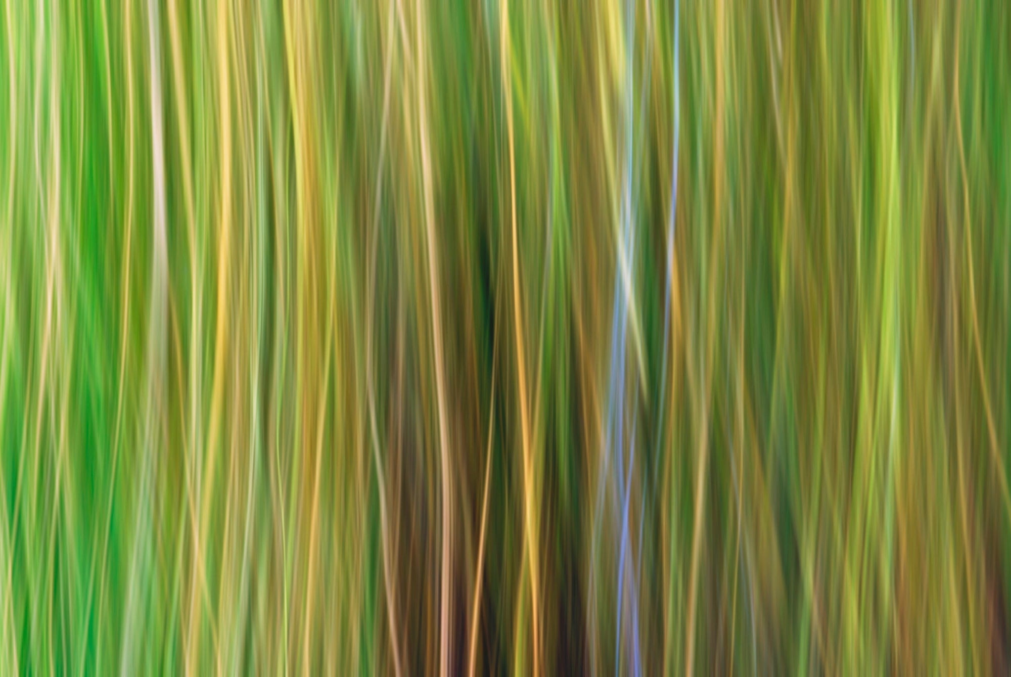 Static and Motion, 2009-10-10-0358