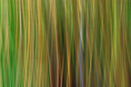 Static and Motion, 2009-10-10-0358