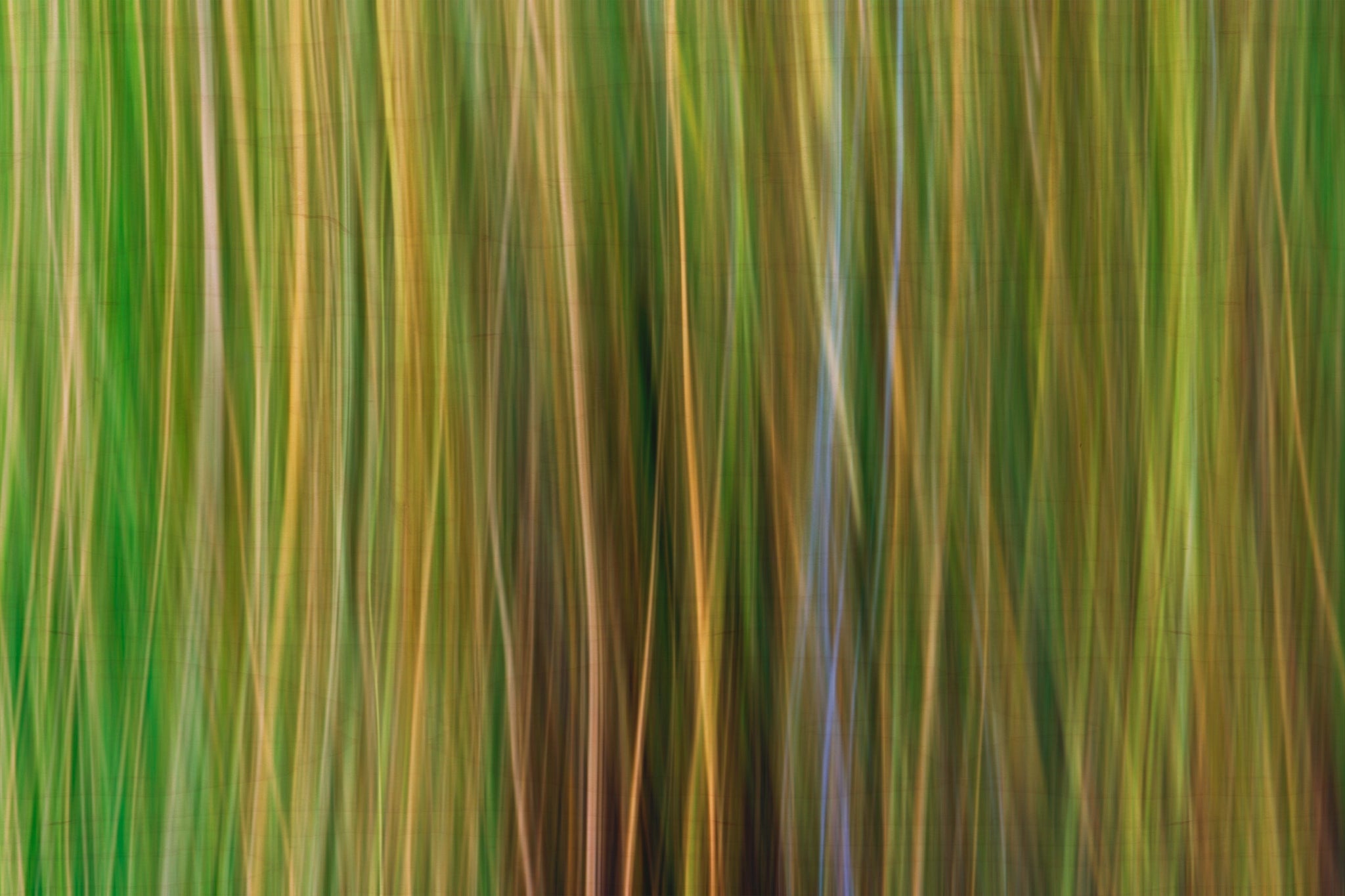Static and Motion, 2009-10-10-0358