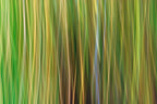 Static and Motion, 2009-10-10-0358
