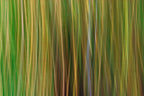Static and Motion, 2009-10-10-0358