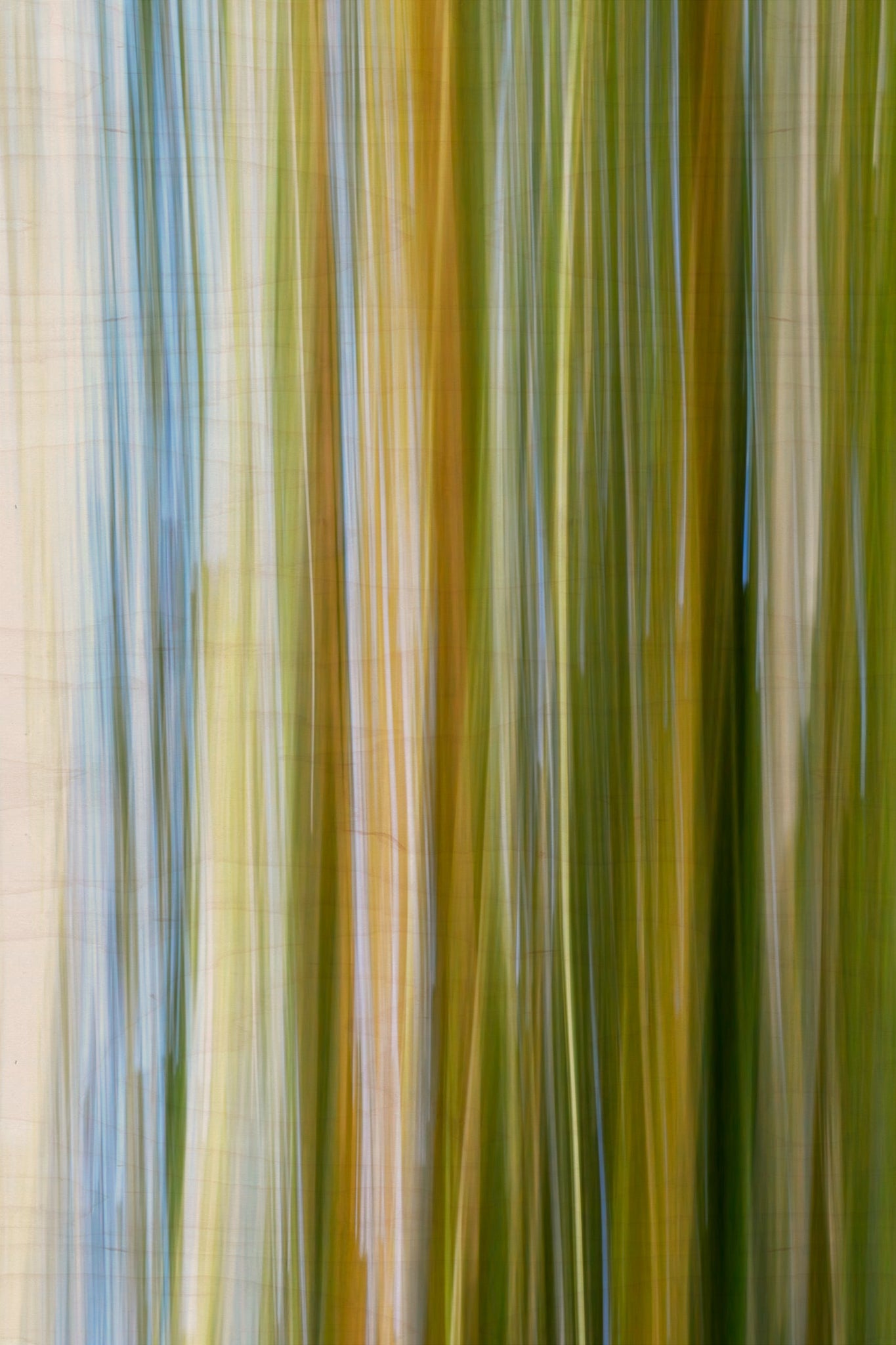 Static and Motion, 2009-10-10-0369