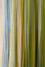 Static and Motion, 2009-10-10-0369