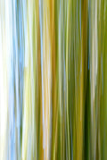 Static and Motion, 2009-10-10-0369