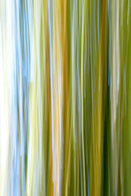 Static and Motion, 2009-10-10-0369