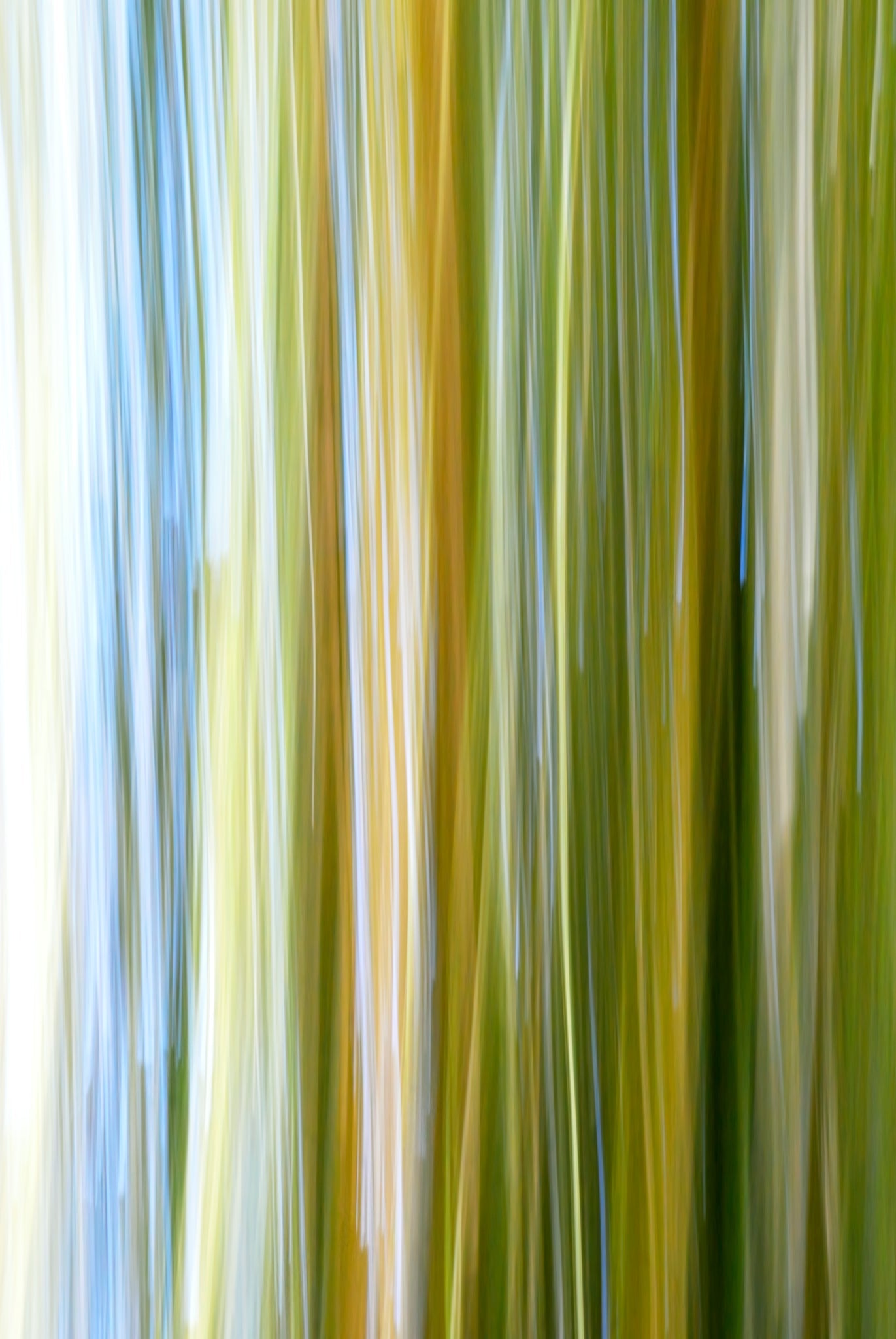 Static and Motion, 2009-10-10-0369