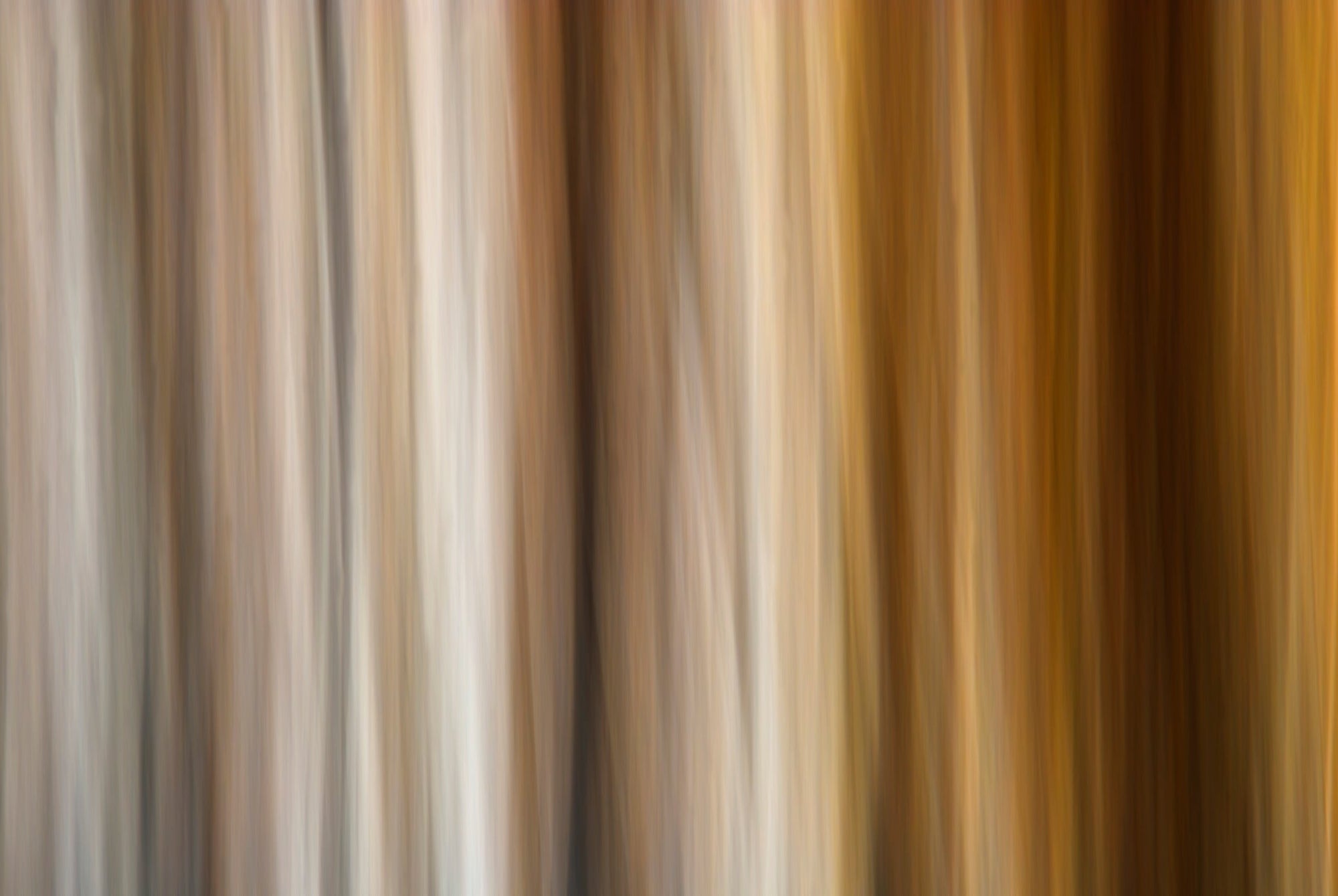 Static and Motion, 2009-10-10-0390