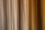 Static and Motion, 2009-10-10-0390