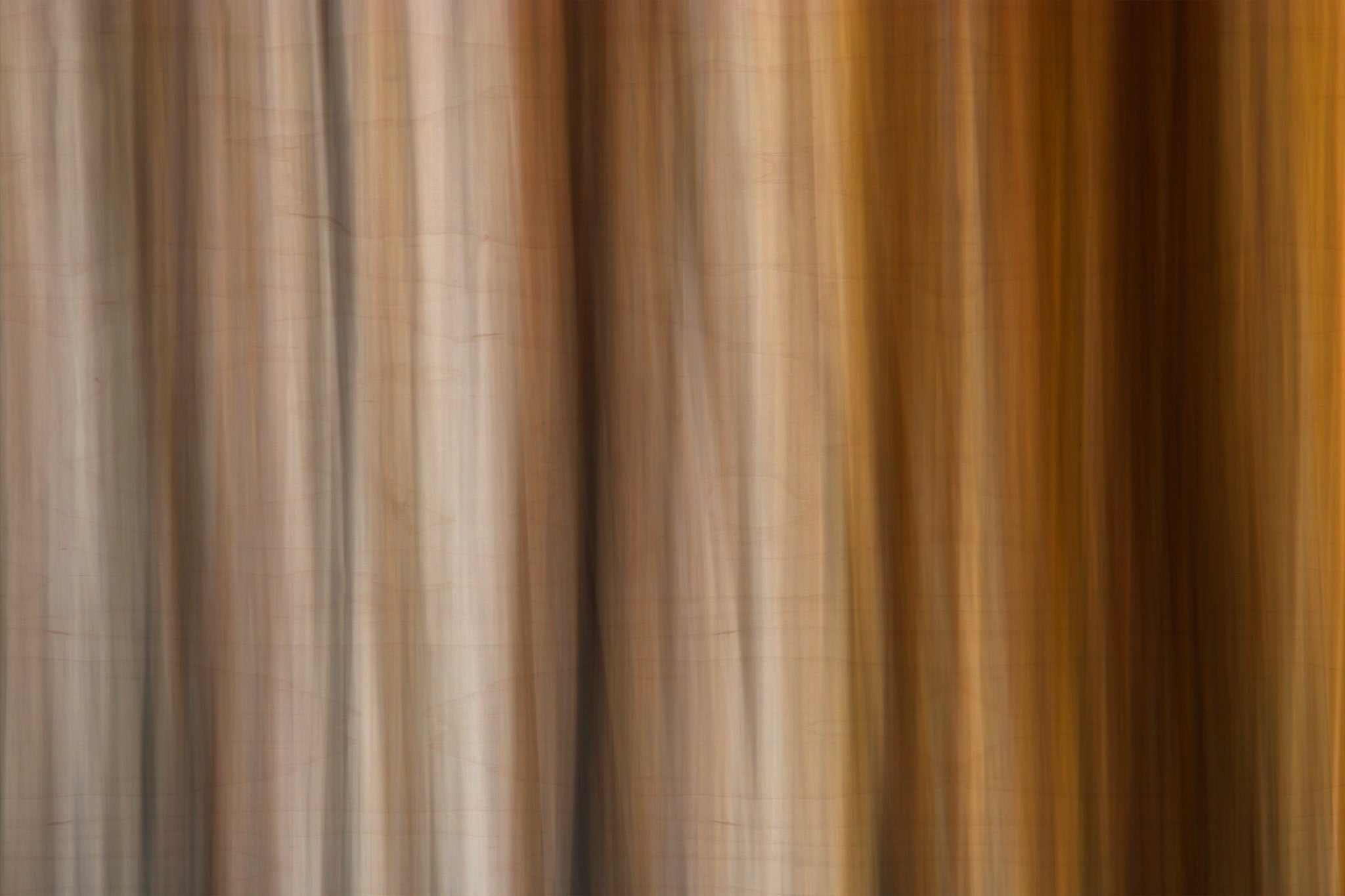 Static and Motion, 2009-10-10-0390