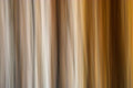 Static and Motion, 2009-10-10-0390