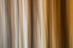 Static and Motion, 2009-10-10-0390