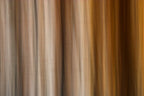 Static and Motion, 2009-10-10-0390