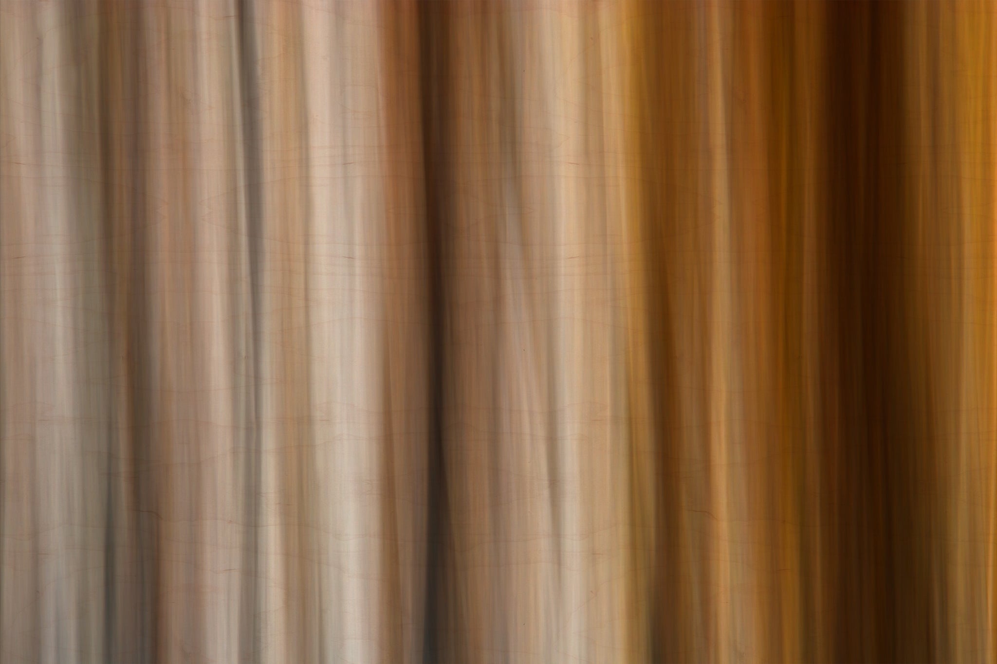 Static and Motion, 2009-10-10-0390