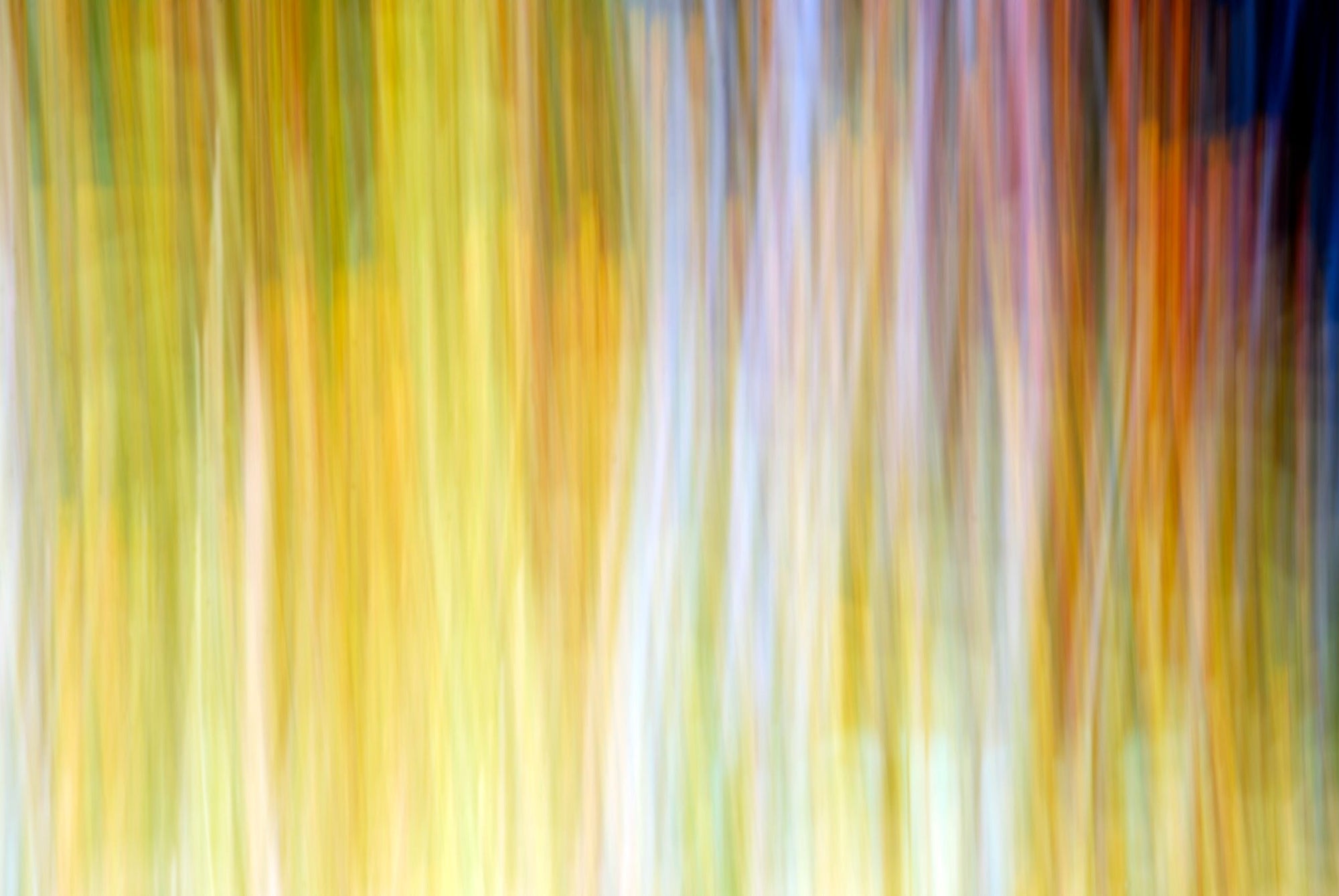 Static and Motion, 2009-10-18-0248