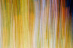 Static and Motion, 2009-10-18-0248