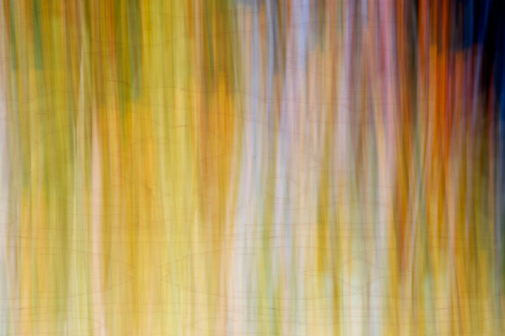 Static and Motion, 2009-10-18-0248