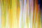 Static and Motion, 2009-10-18-0248