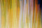 Static and Motion, 2009-10-18-0248