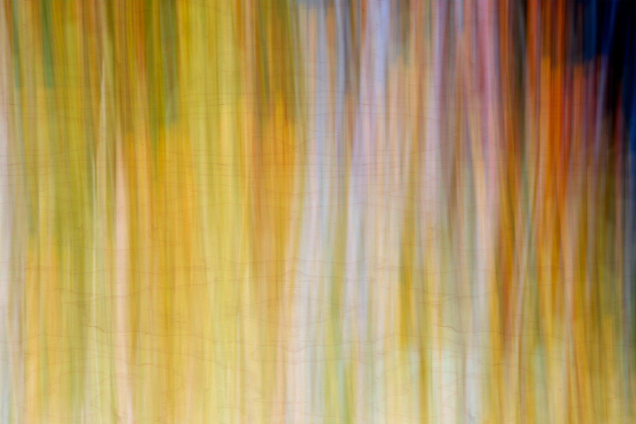 Static and Motion, 2009-10-18-0248