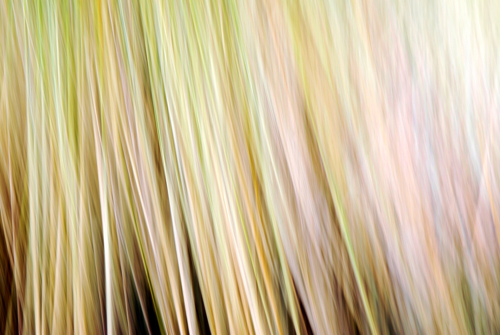 Static and Motion, 2009-10-18-0305