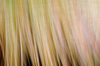 Static and Motion, 2009-10-18-0305
