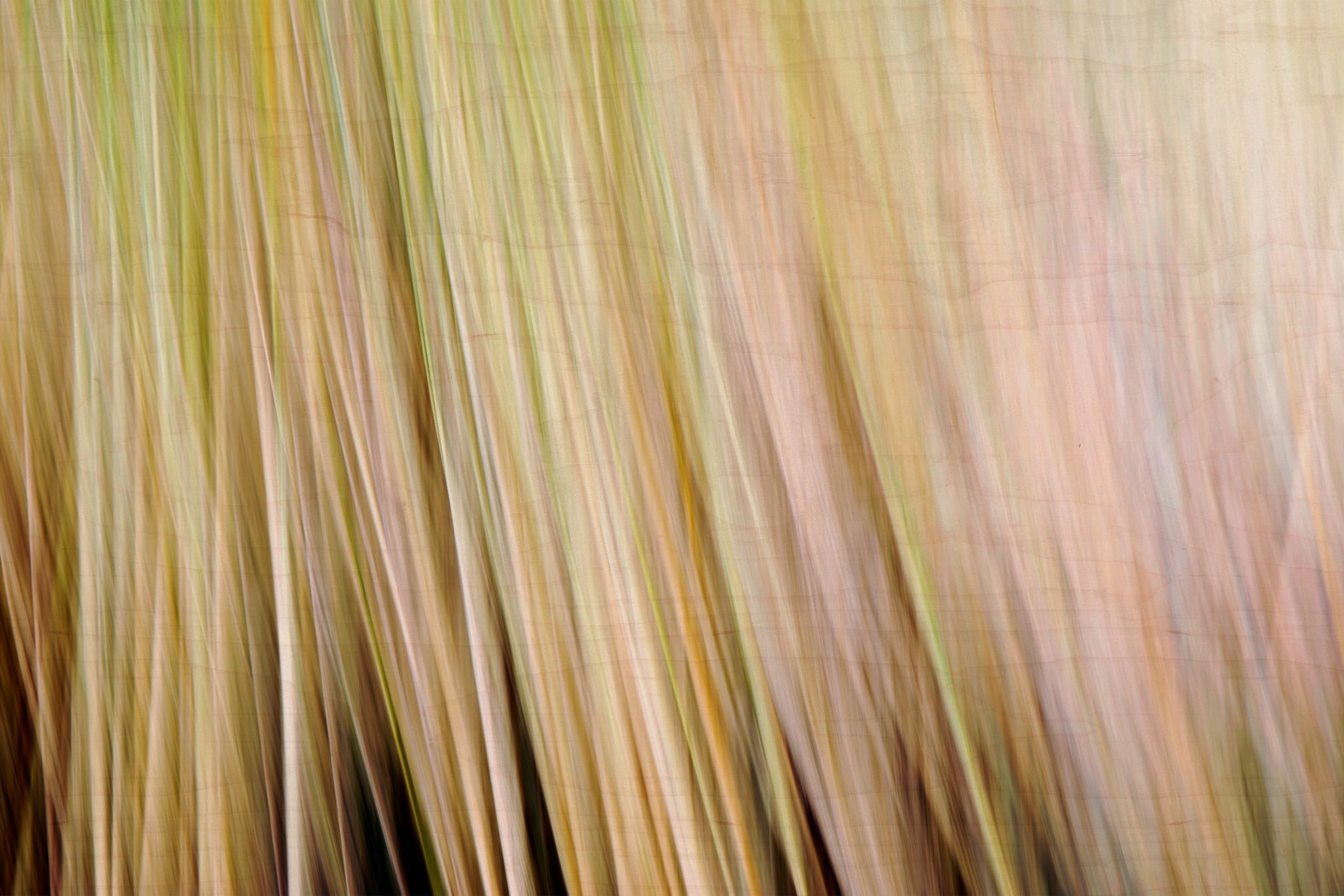 Static and Motion, 2009-10-18-0305
