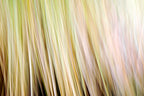 Static and Motion, 2009-10-18-0305