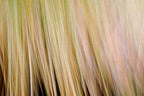 Static and Motion, 2009-10-18-0305