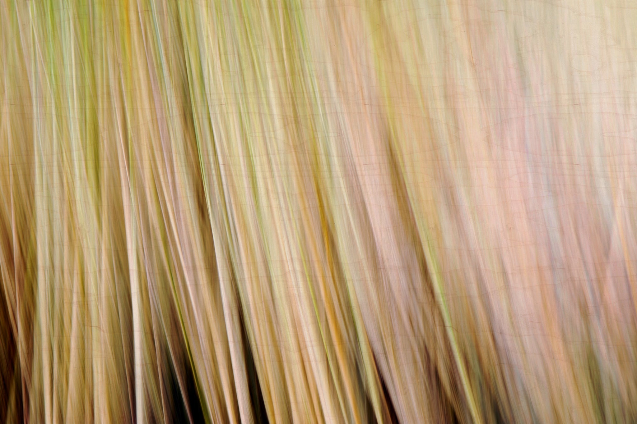 Static and Motion, 2009-10-18-0305