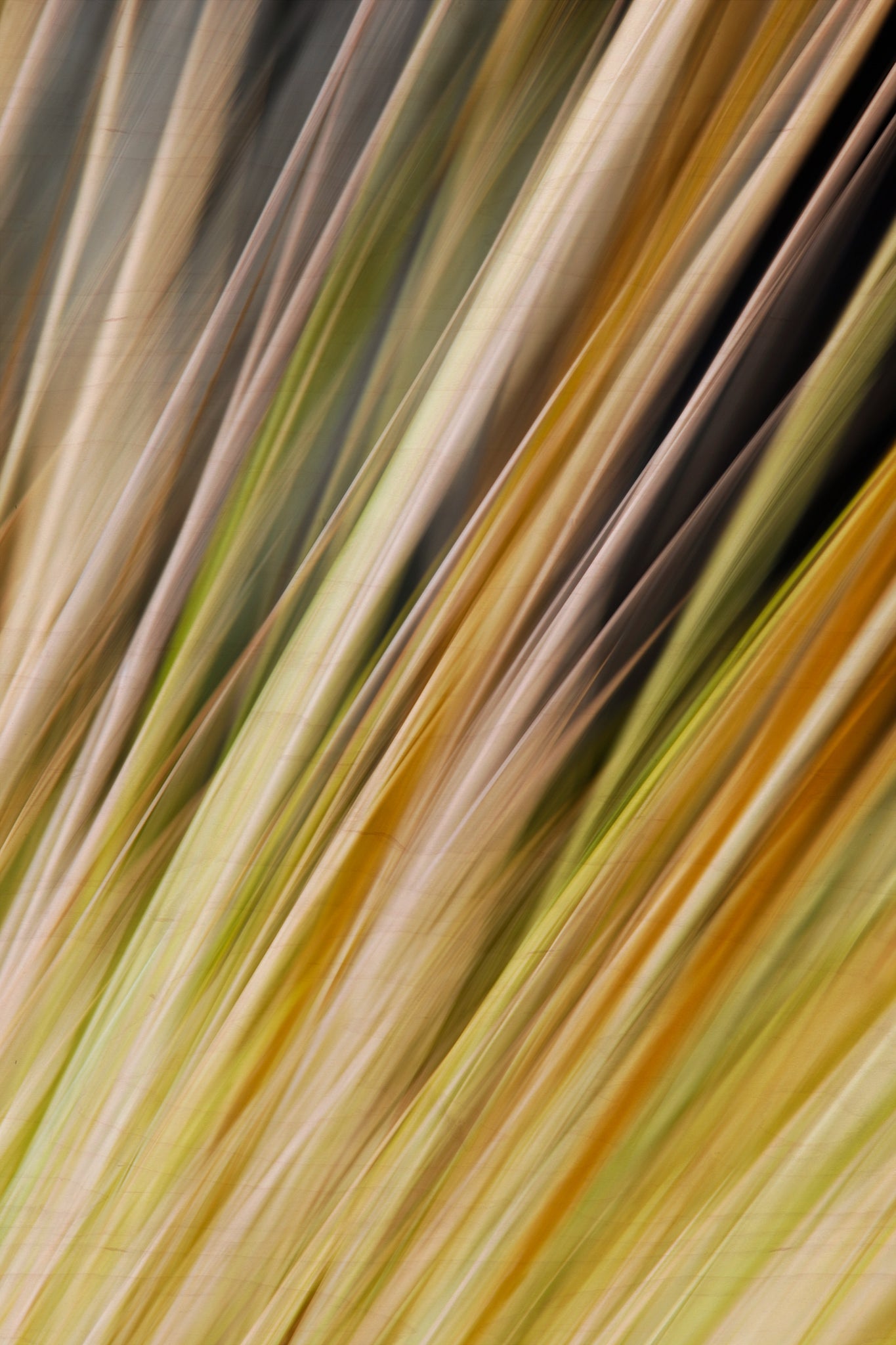 Static and Motion, 2009-10-18-0332