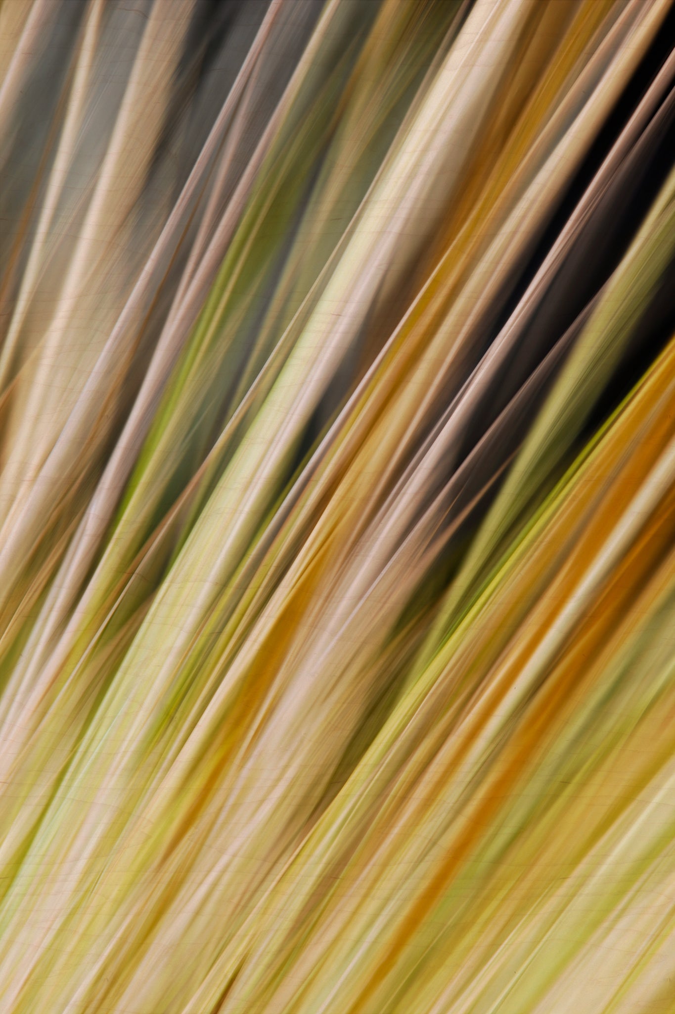 Static and Motion, 2009-10-18-0332