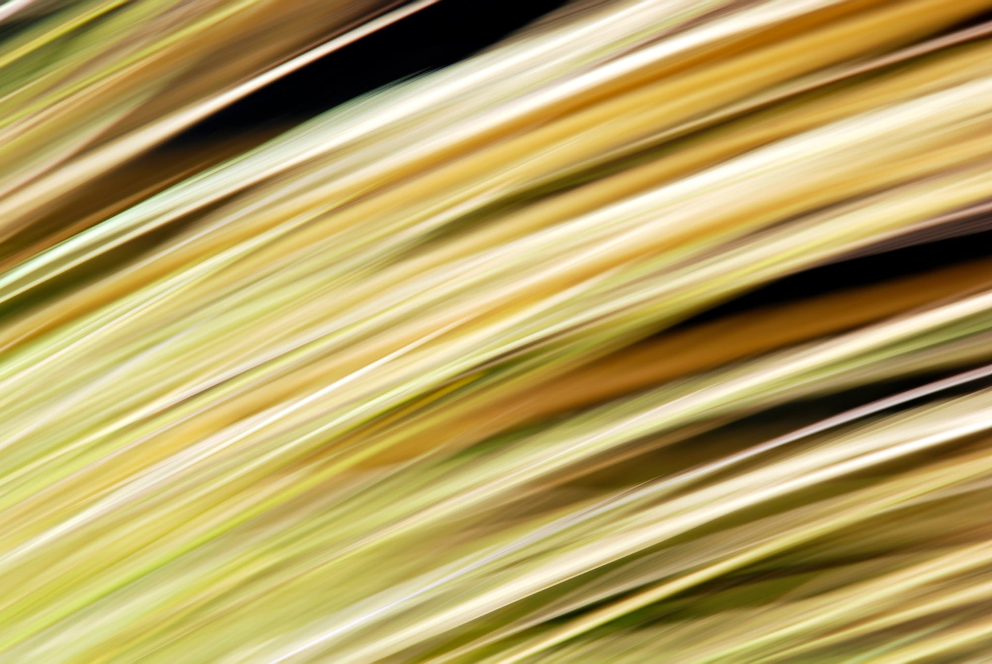 Static and Motion, 2009-10-18-0338