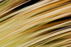 Static and Motion, 2009-10-18-0338