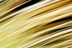Static and Motion, 2009-10-18-0338