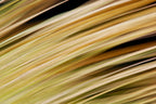 Static and Motion, 2009-10-18-0338