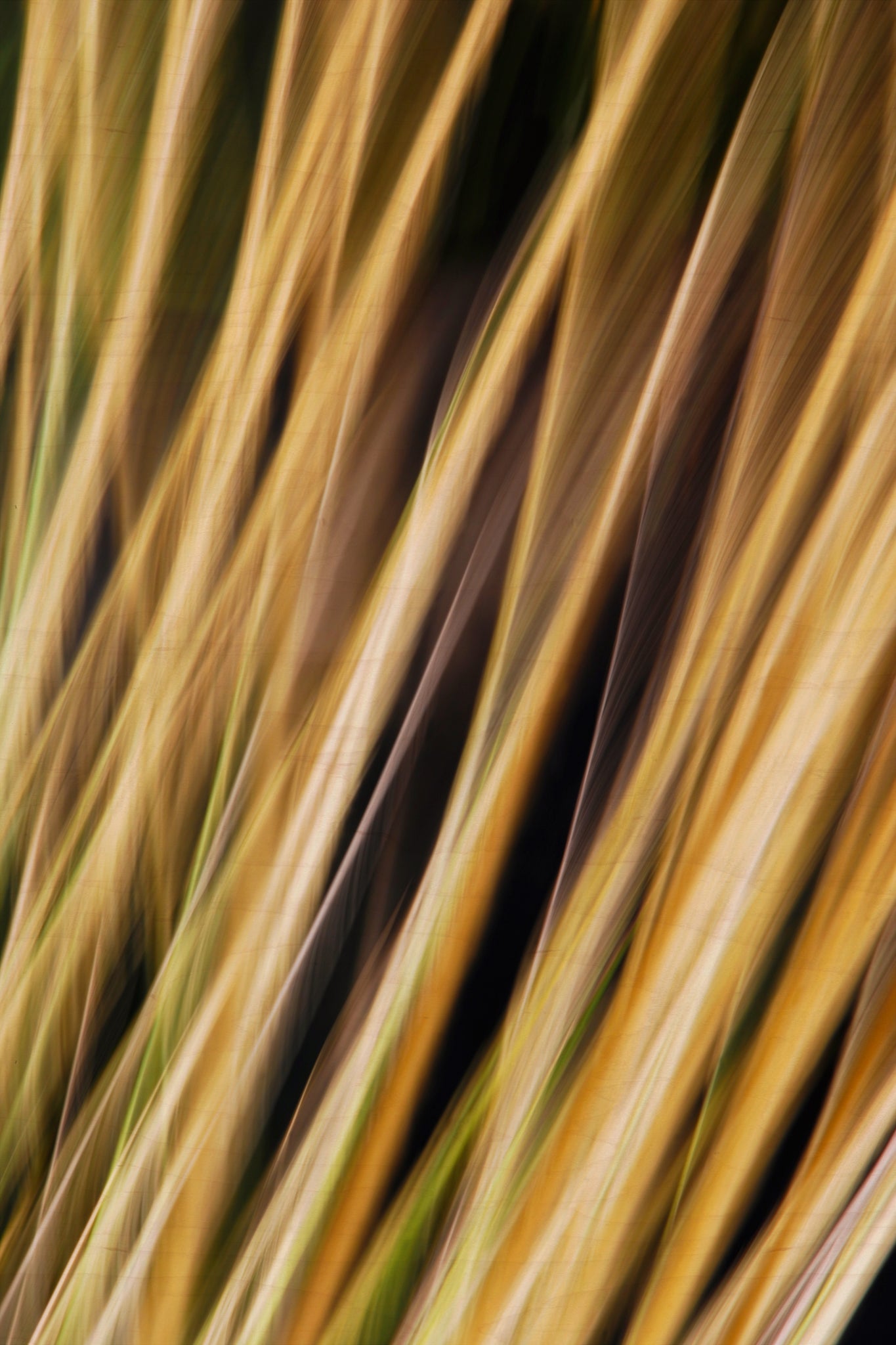 Static and Motion, 2009-10-18-0341