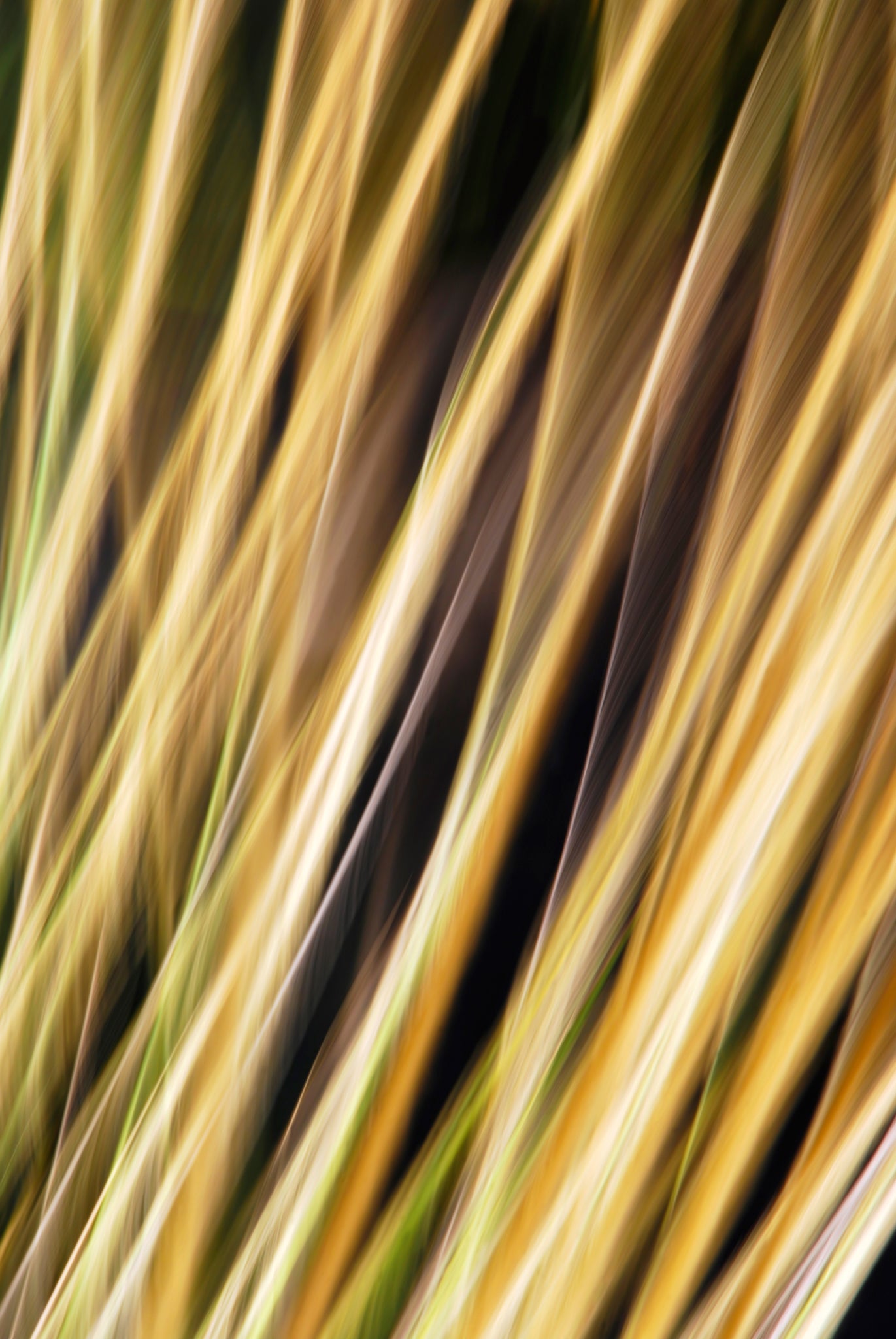 Static and Motion, 2009-10-18-0341