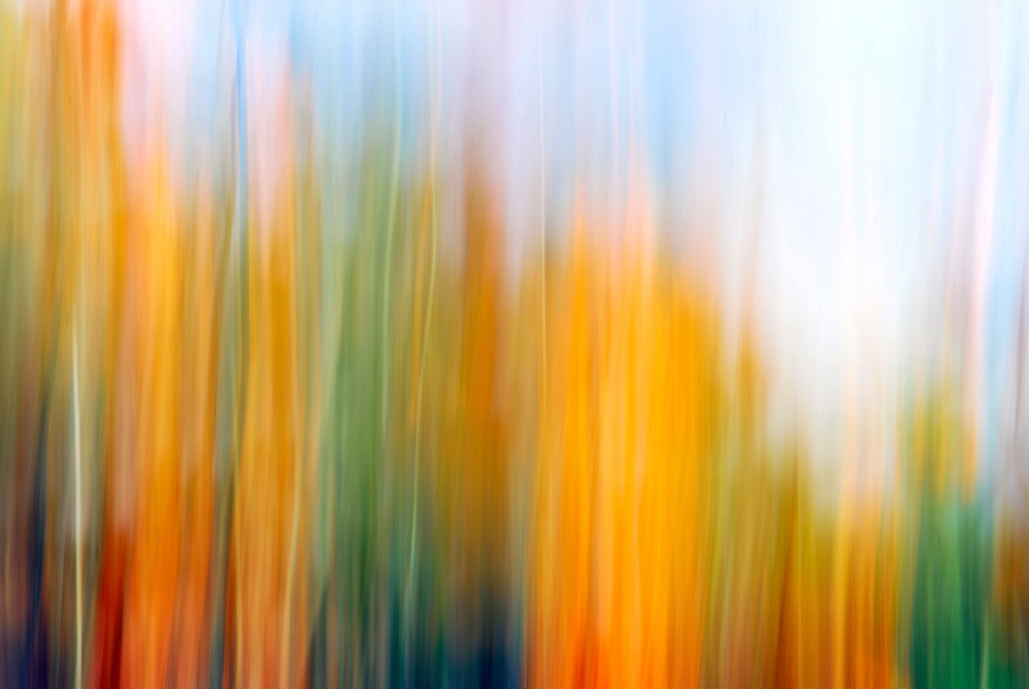 Static and Motion, 2009-10-18-0367