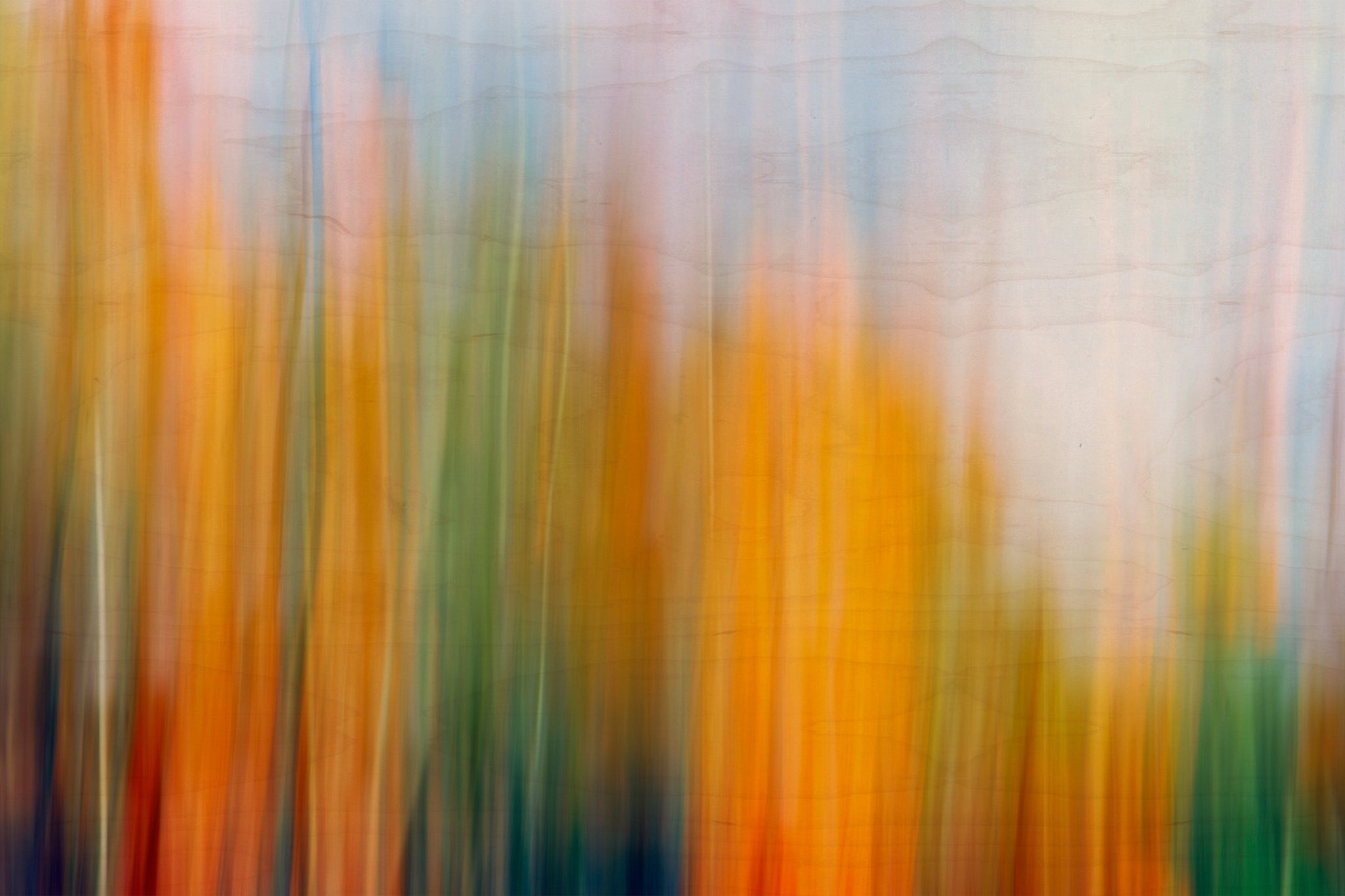 Static and Motion, 2009-10-18-0367